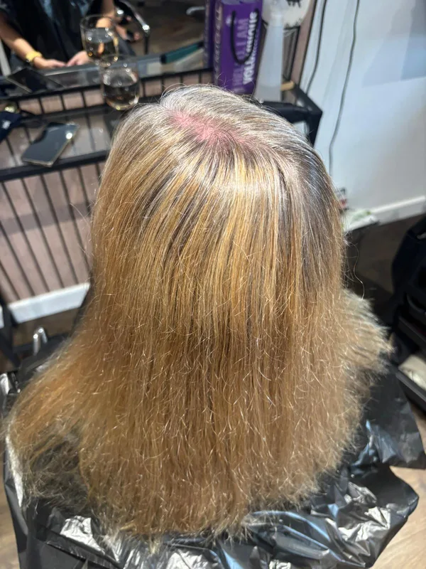 Before: Natural grey roots requiring professional grey blending treatment at hair salon in Gloucester
