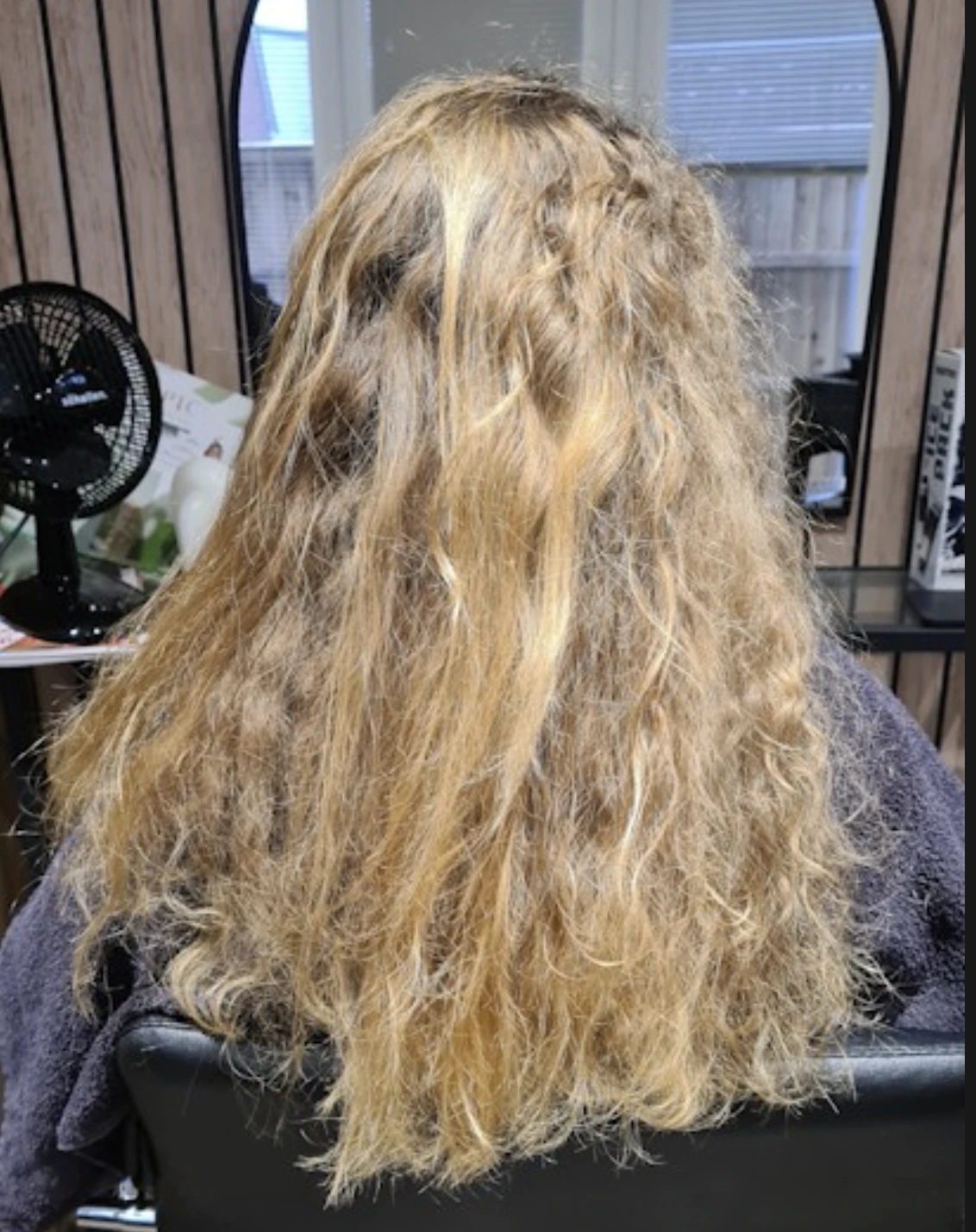 Before keratin treatment — frizzy, unmanageable hair